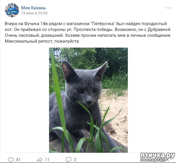 ���� 5: ��� ����, ���� �������� ����������