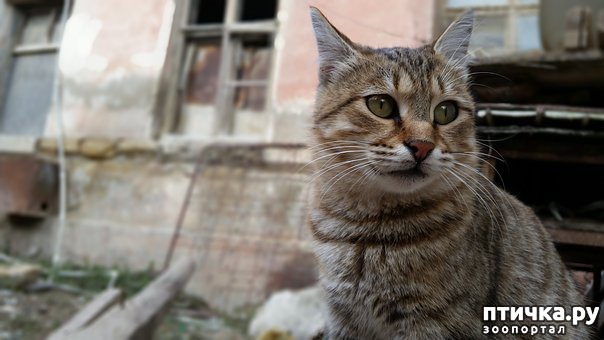 ���� 1: ��� ����, ���� �������� ����������