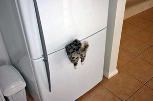 ����: ���� ������� �������?