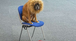 ����: �� �� ���, �� �� �������