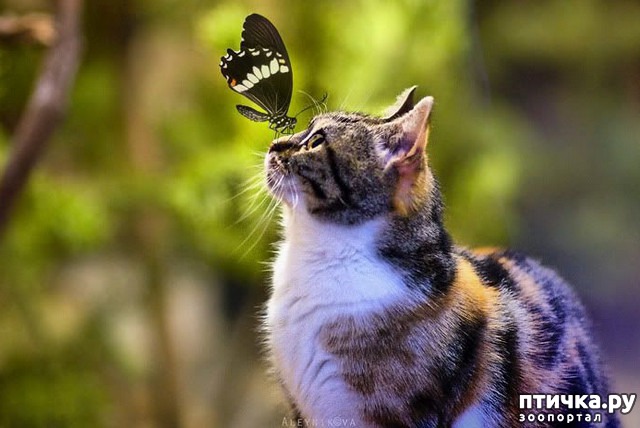 ���� 2: ����������� ������.