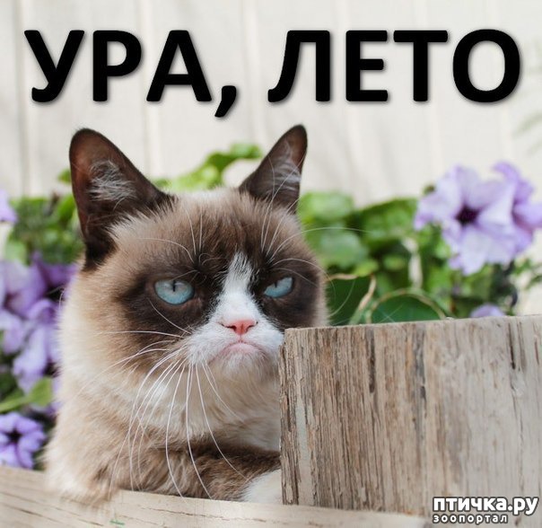 ���� 5: ����������� ������.