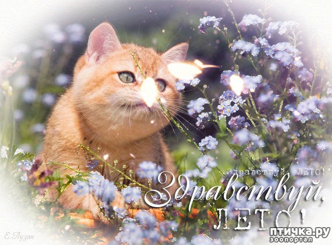 ���� 6: ����������� ������.