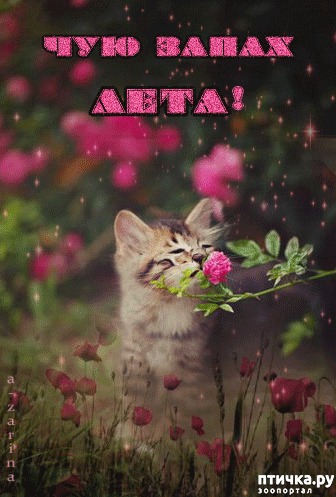 ���� 7: ����������� ������.