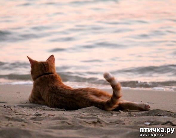 ���� 8: ����������� ������.