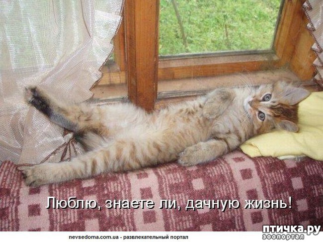 ���� 9: ����������� ������.