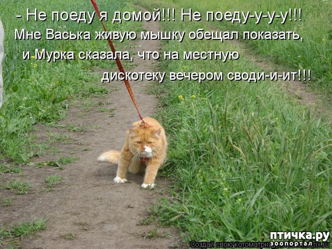 ���� 10: ����������� ������.