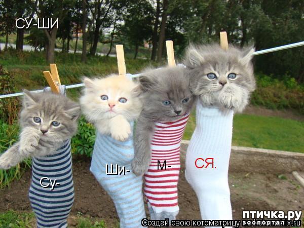 ���� 11: ����������� ������.