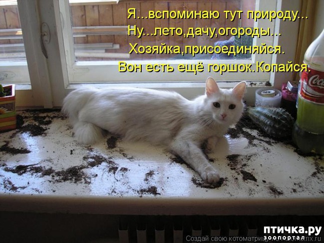 ���� 12: ����������� ������.