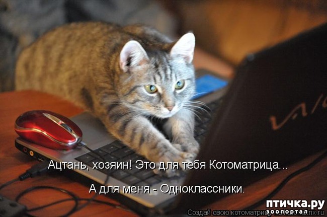 ���� 14: ����������� ������.