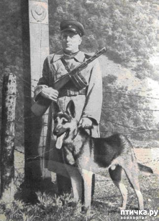 ���� 1: ������� � �����.