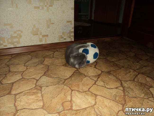 ���� 4: � �� ������ � ������