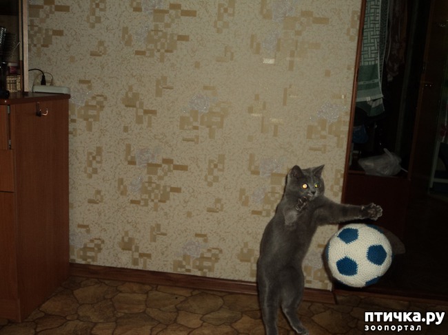 ���� 3: � �� ������ � ������