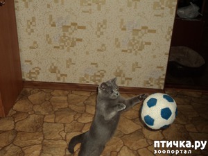 ����: � �� ������ � ������