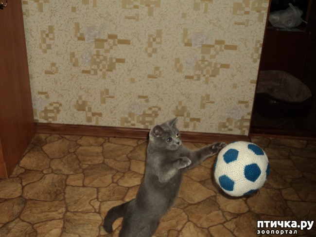 ���� 1: � �� ������ � ������