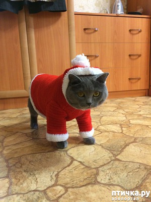 ����: ����� ��� ��������, ��� ���� ��������, �� � ����� ���� ���