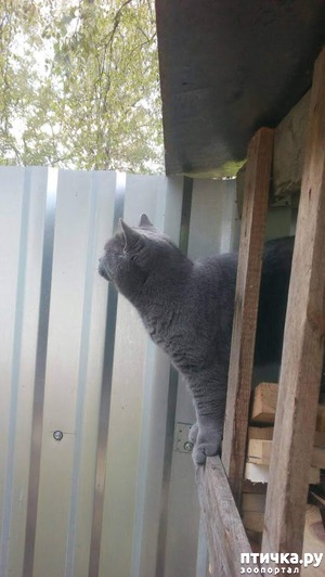 ����: ��� � ����. �����