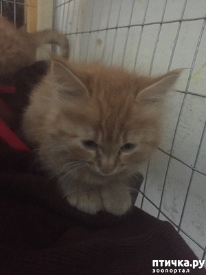 ����: ��� ������ ������)))