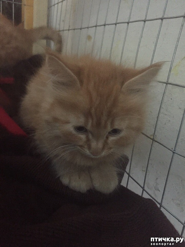 ���� 1: ��� ������ ������)))