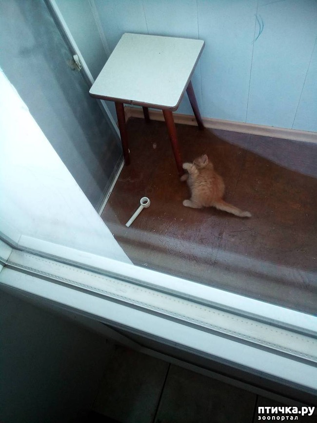 ���� 2: ��� ������ ������)))