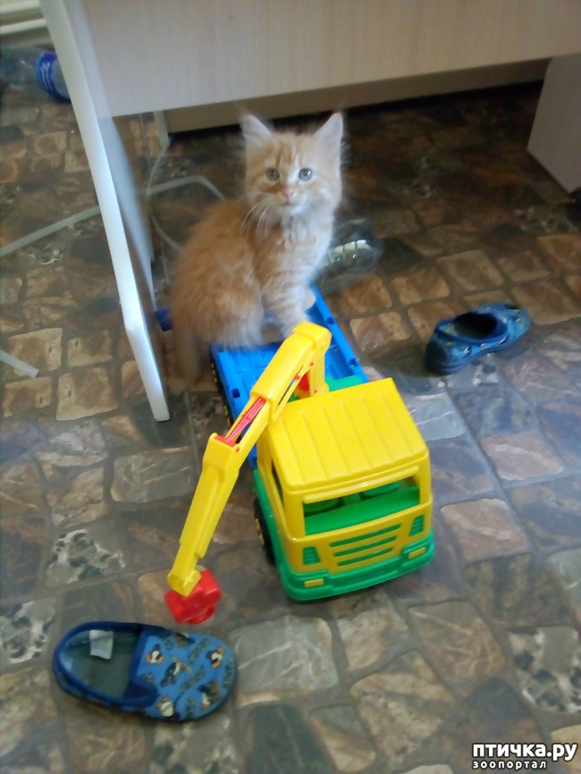 ���� 3: ��� ������ ������)))