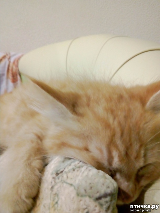 ���� 4: ��� ������ ������)))