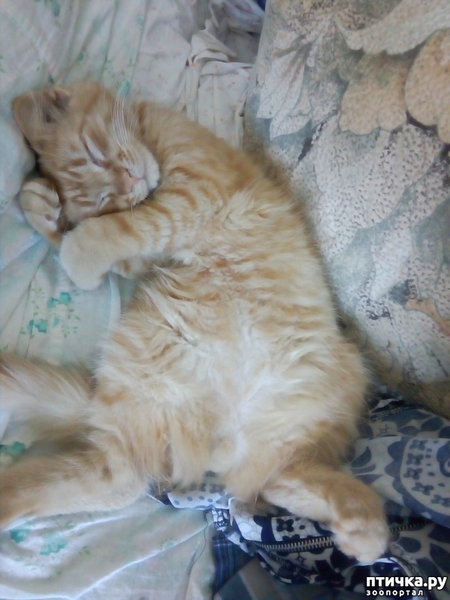 ���� 5: ��� ������ ������)))