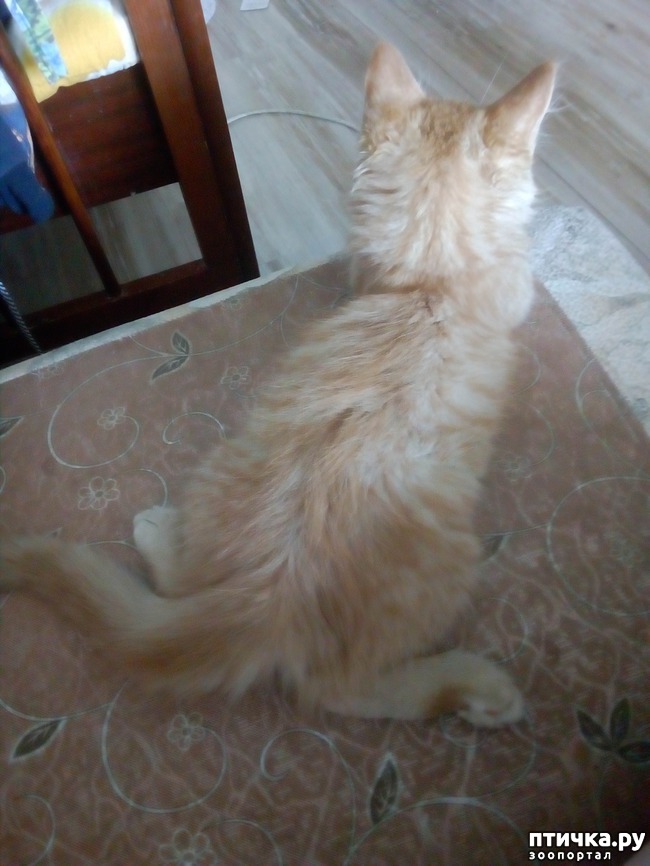 ���� 7: ��� ������ ������)))