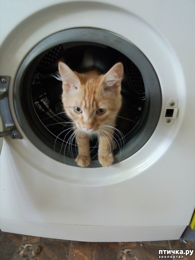 ���� 9: ��� ������ ������)))