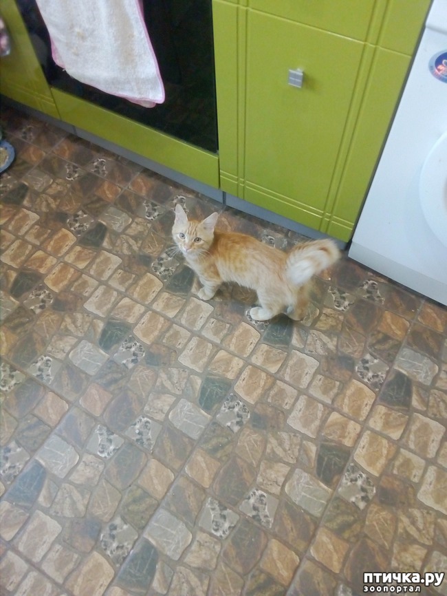 ���� 10: ��� ������ ������)))