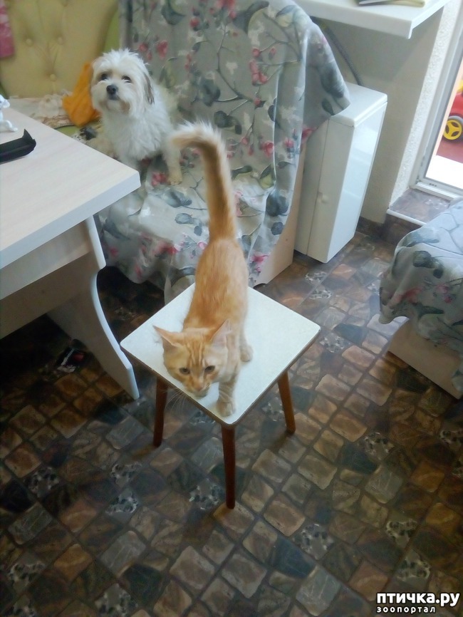 ���� 11: ��� ������ ������)))