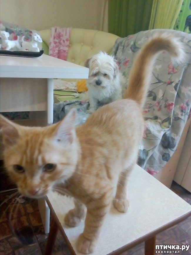 ���� 12: ��� ������ ������)))