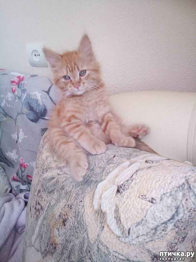 ���� 6: ��� ������ ������)))