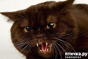 ����: ��������� � �����