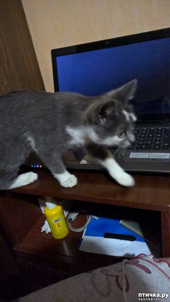 ���� 1: ����� ������ � ������ ���������!