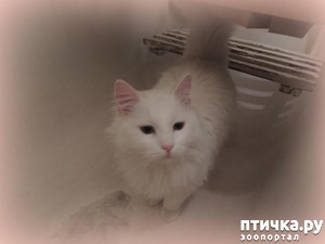 ����: ��������� �� �������