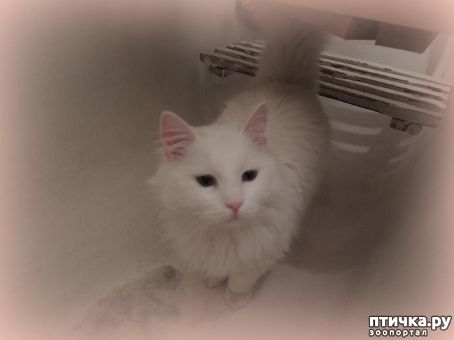 ���� 1: ��������� �� �������