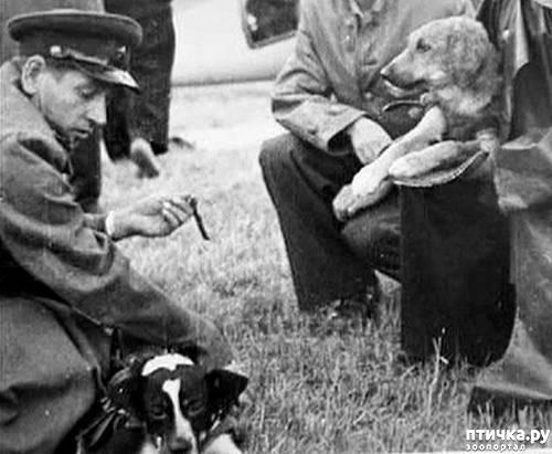 ���� 1: ������ 