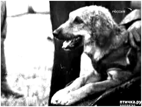 ���� 2: ������ 