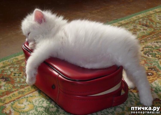 ���� 1: �����������: ������ �� � ������!