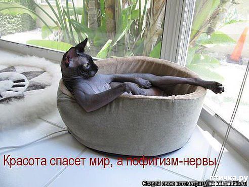 ���� 2: �����������: ������ �� � ������!