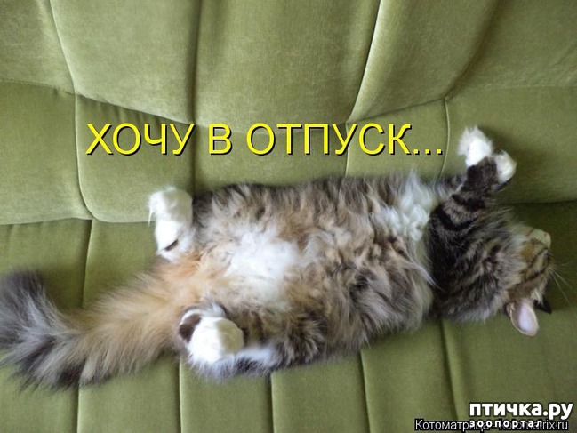 ���� 4: �����������: ������ �� � ������!