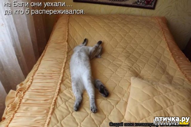 ���� 5: �����������: ������ �� � ������!