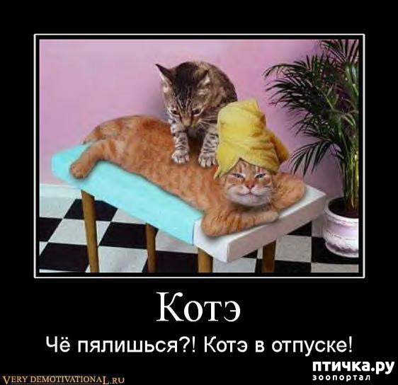 ���� 6: �����������: ������ �� � ������!