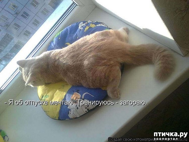 ���� 7: �����������: ������ �� � ������!