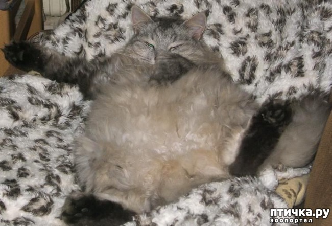 ���� 8: �����������: ������ �� � ������!