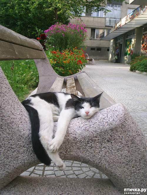 ���� 9: �����������: ������ �� � ������!