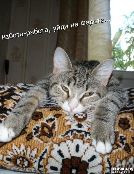 ���� 11: �����������: ������ �� � ������!