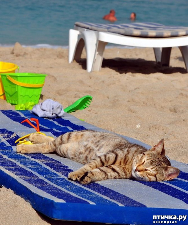 ���� 13: �����������: ������ �� � ������!