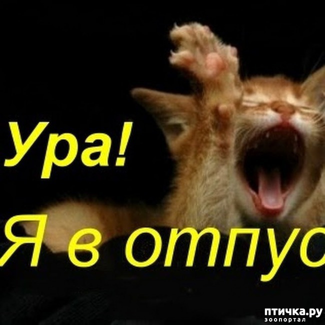 ���� 14: �����������: ������ �� � ������!